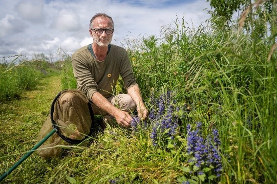 Personne accroupie au milieu d'herbes hautes